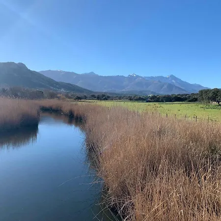 T3 Duplex Confort - Piscine - Proche - 6 Personnes * Palasca (Corsica)