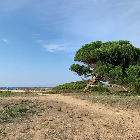 T3 Duplex Confort - Piscine - Proche - 6 Personnes *