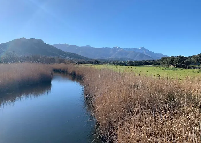 T3 Duplex Confort - Piscine - Proche - 6 Personnes * Palasca (Corsica)