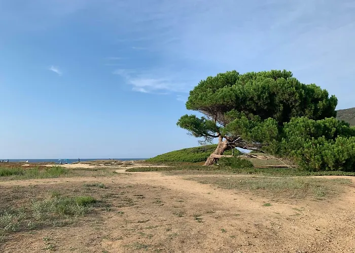 T3 Duplex Confort - Piscine - Proche - 6 Personnes *